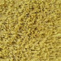 DY_CELIA_MUSZ_50X70_878[Z1].jpg
