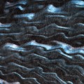 372895479_2.jpg