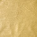 resize-ResizeImageFunction-1A5MHZIEG76EF - 2021-04-06T161307.269.jpg