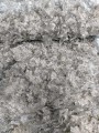 158124dcccceff44ac90c650ee0e3342