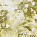 35d979a23ce5017673da5f92b1603caf