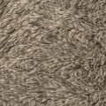 199e4b93355147c36889331db0a387e5