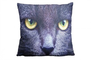 Poszewka 40x40 Animal czarny kot