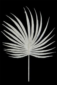 GAŁĄZKA OZDOBY CHOINKOWE EUROFIRANY 103-4