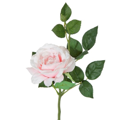resize-ResizeImageFunction-1A5MHZIEG76EF (1).jpg