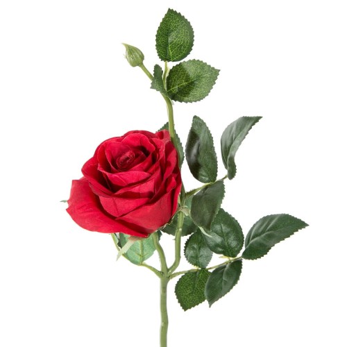 resize-ResizeImageFunction-1A5MHZIEG76EF (83).jpg