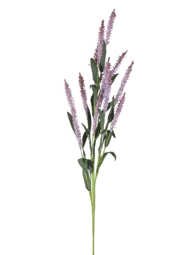 resize-ResizeImageFunction-1A5MHZIEG76EF (29).jpg