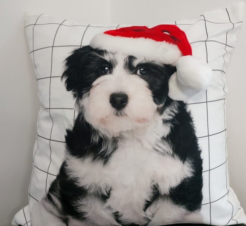 20211126_122328.jpg