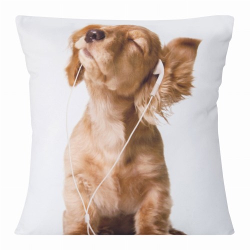 chp_animal_60_40x40[P1].jpg