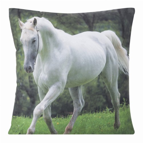 chp_animal_58_40x40[P1].jpg