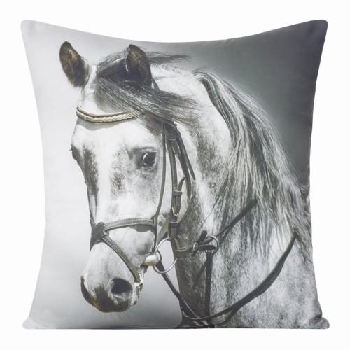 chp_animal_57_40x40[P1].jpg