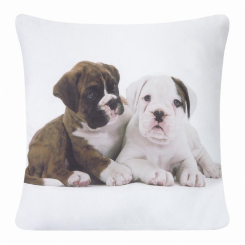chp_animal_61_40x40[P1].jpg