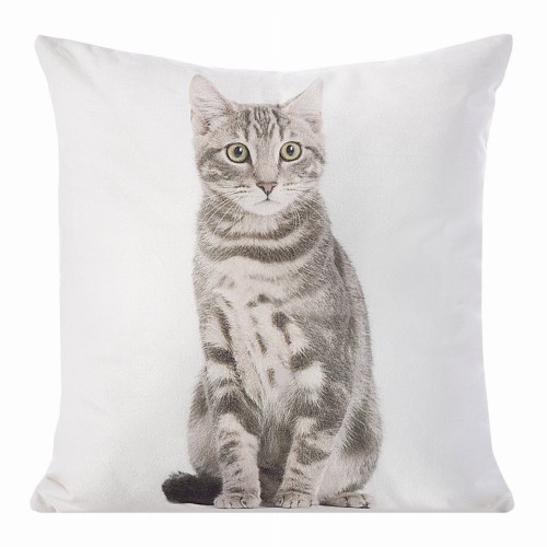 chp_animal_40_40x40[P1].jpg