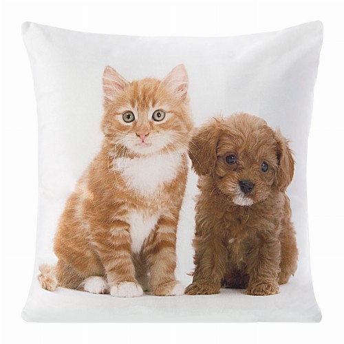 chp_animal_32_40x40[P1].jpg