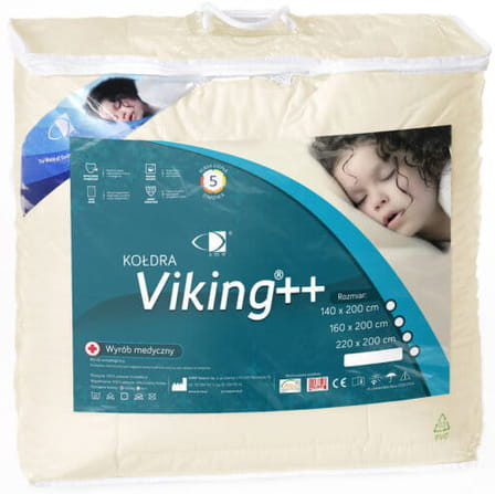 viking.jpg