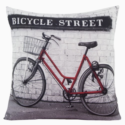 chp_rustic_2_40x40_x2bike[P1].jpg