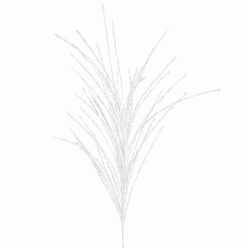 sw_g_costa_b_1(x12)[P2].jpg