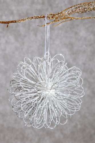 sw_shiny_ozd_2_1_20rd_x12bialy[P1].jpg