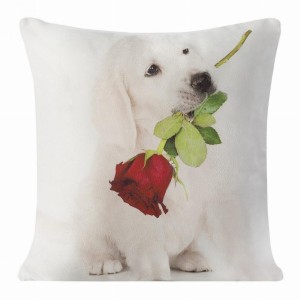 Poszewka ozdobna 40x40 Eurofirany Animal 29