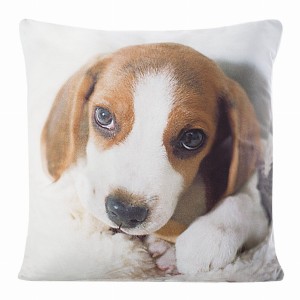 Poszewka ozdobna 40x40 Eurofirany Animal 33